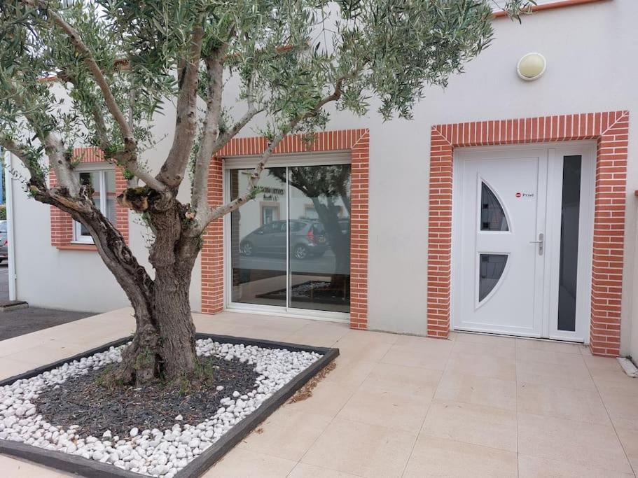 T3 Climatise, Parking Et Jardin Quartier Des Marots A Colomiersアパートメント エクステリア 写真