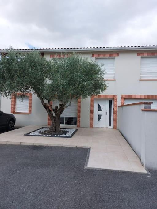 T3 Climatise, Parking Et Jardin Quartier Des Marots A Colomiersアパートメント エクステリア 写真